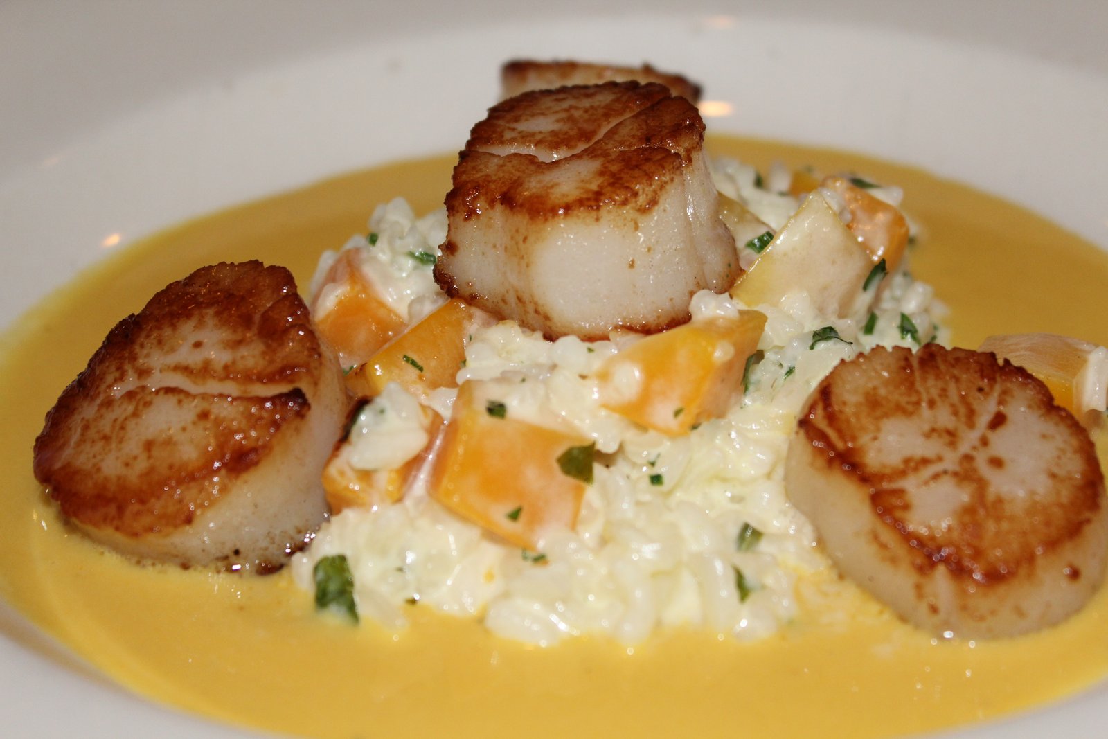 Diver Sea Scallops with Butternut Squash Risotto, Butternut Squash Coulis